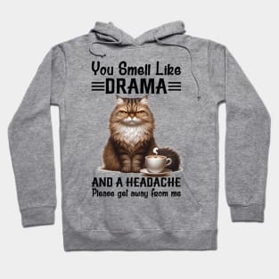 Cat You Smell Like Drama And A Headache Funny Hoodie
